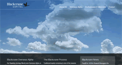 Desktop Screenshot of blackcranecap.com